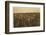 Family Picking Cotton Near Mckinney, Texas, 1913-Lewis Wickes Hine-Framed Photographic Print