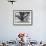 Family Picnic Under Cherry Blossoms, Japan-Walter Bibikow-Framed Photographic Print displayed on a wall