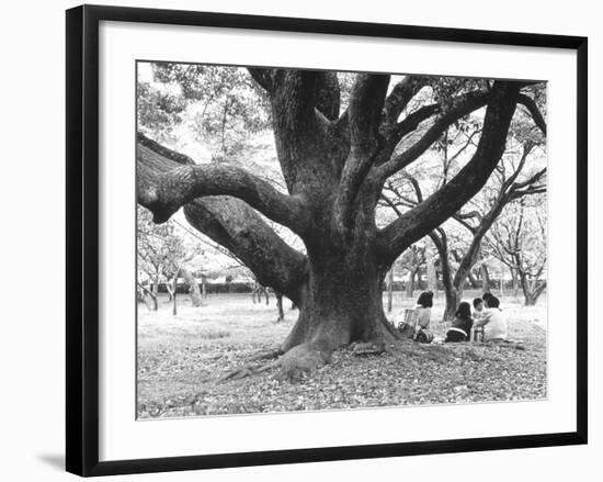 Family Picnic Under Cherry Blossoms, Japan-Walter Bibikow-Framed Photographic Print