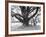 Family Picnic Under Cherry Blossoms, Japan-Walter Bibikow-Framed Photographic Print