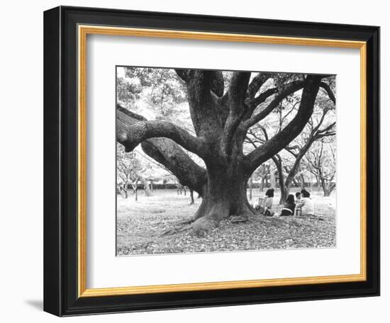 Family Picnic Under Cherry Blossoms, Japan-Walter Bibikow-Framed Photographic Print