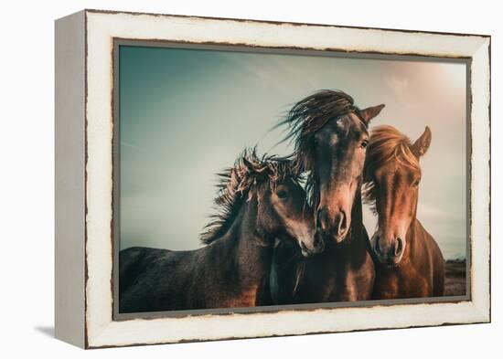 Family portrait-Marcus Hennen-Framed Premier Image Canvas