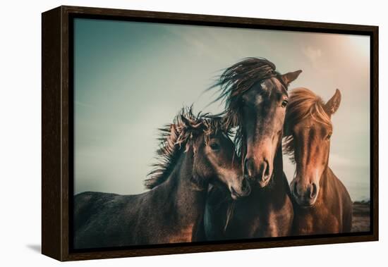 Family portrait-Marcus Hennen-Framed Premier Image Canvas