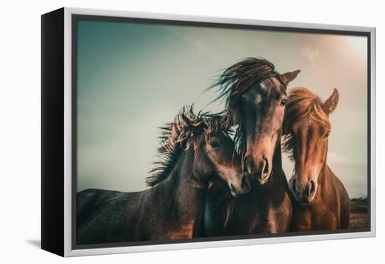 Family portrait-Marcus Hennen-Framed Premier Image Canvas