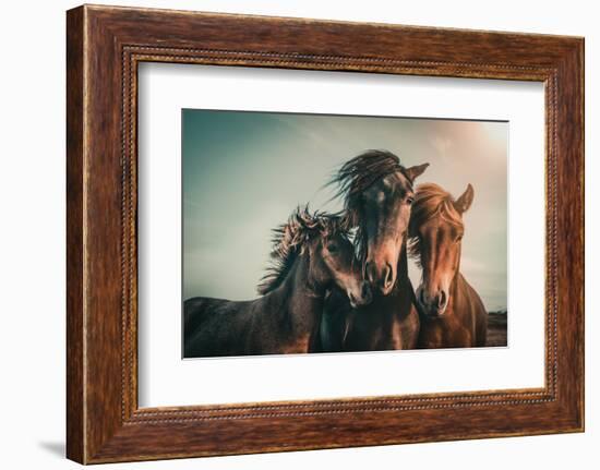 Family portrait-Marcus Hennen-Framed Photographic Print