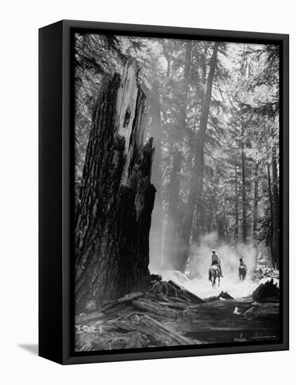 Family Riding Horseback Through Forest-Allan Grant-Framed Premier Image Canvas