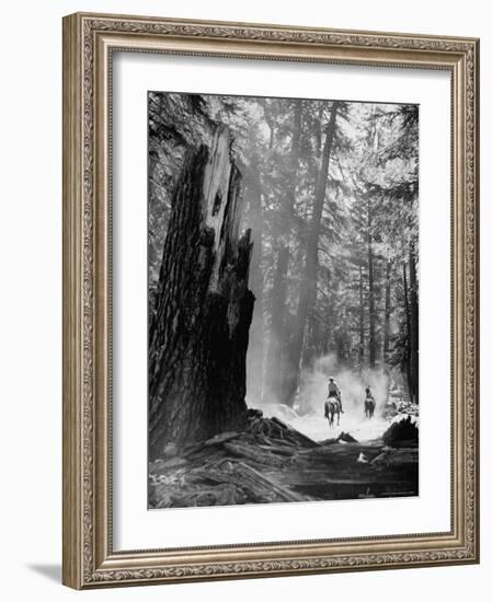 Family Riding Horseback Through Forest-Allan Grant-Framed Photographic Print