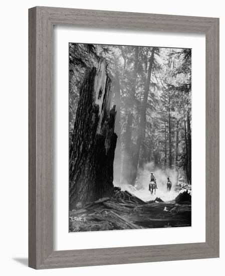 Family Riding Horseback Through Forest-Allan Grant-Framed Photographic Print