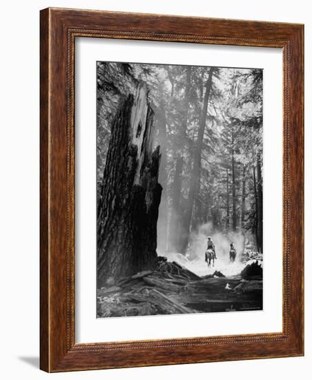 Family Riding Horseback Through Forest-Allan Grant-Framed Photographic Print