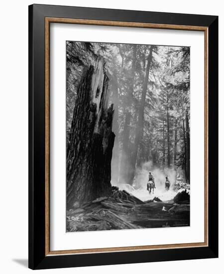 Family Riding Horseback Through Forest-Allan Grant-Framed Photographic Print