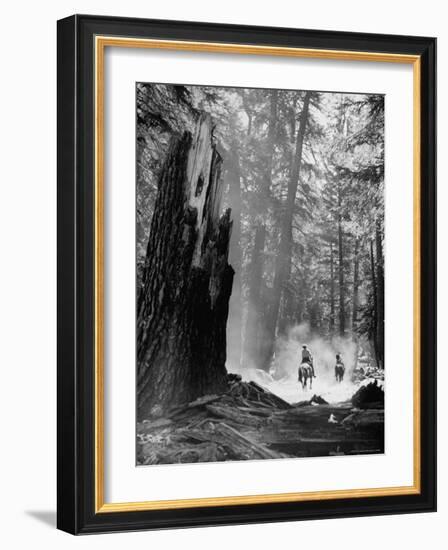 Family Riding Horseback Through Forest-Allan Grant-Framed Photographic Print