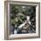 Family Scene at Dolgoch Falls, Snowdonia, Wales, 1969-Michael Walters-Framed Photographic Print