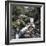 Family Scene at Dolgoch Falls, Snowdonia, Wales, 1969-Michael Walters-Framed Photographic Print