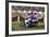 Family Scooter-Charles Bowman-Framed Photographic Print