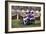 Family Scooter-Charles Bowman-Framed Photographic Print