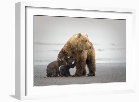 Family Time-Renee Doyle-Framed Giclee Print