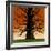 Family Tree-Mark Ulriksen-Framed Art Print