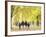 Family Walking in the Park-null-Framed Photographic Print