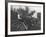 Family Working in Hop Fields, Kent-Peter Higginbotham-Framed Photographic Print