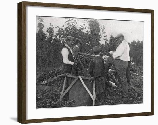 Family Working in Hop Fields, Kent-Peter Higginbotham-Framed Photographic Print