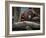 Family-Stephen Arens-Framed Photographic Print