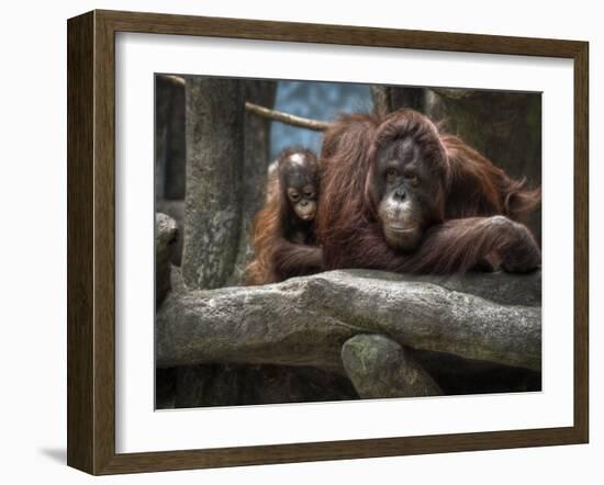 Family-Stephen Arens-Framed Photographic Print