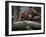 Family-Stephen Arens-Framed Photographic Print