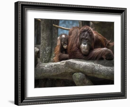 Family-Stephen Arens-Framed Photographic Print