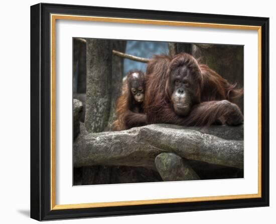 Family-Stephen Arens-Framed Photographic Print