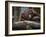 Family-Stephen Arens-Framed Photographic Print