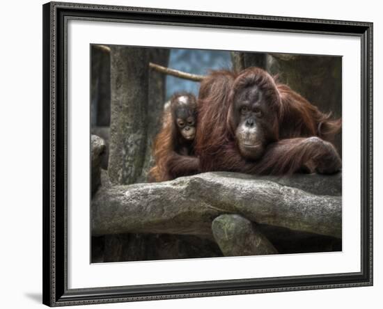 Family-Stephen Arens-Framed Photographic Print