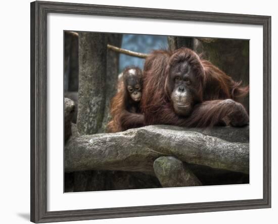 Family-Stephen Arens-Framed Photographic Print