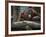 Family-Stephen Arens-Framed Photographic Print