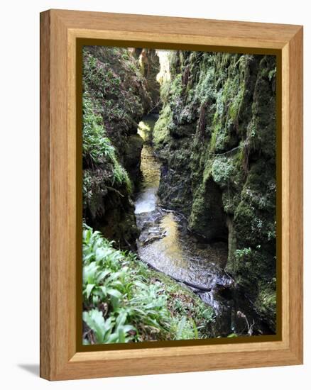 Famous 3 Mile Gorge in Devon Owned by the National Trust, Devon, England, United Kingdom, Europe-David Lomax-Framed Premier Image Canvas