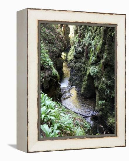 Famous 3 Mile Gorge in Devon Owned by the National Trust, Devon, England, United Kingdom, Europe-David Lomax-Framed Premier Image Canvas