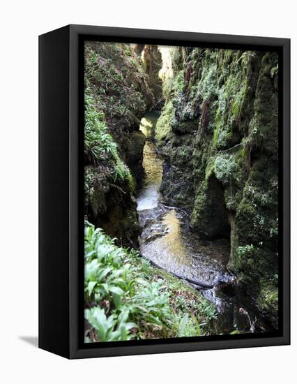 Famous 3 Mile Gorge in Devon Owned by the National Trust, Devon, England, United Kingdom, Europe-David Lomax-Framed Premier Image Canvas