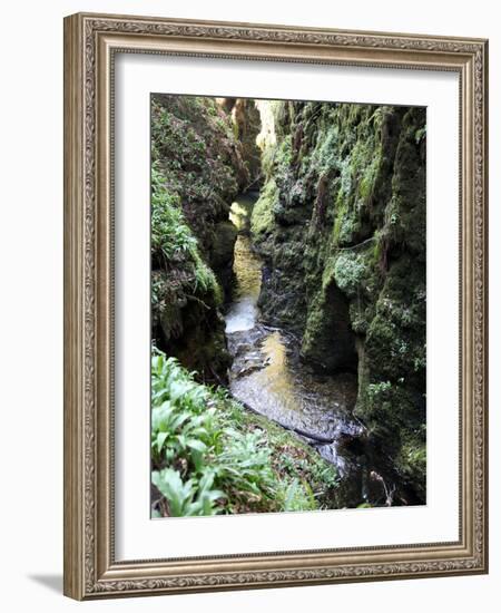 Famous 3 Mile Gorge in Devon Owned by the National Trust, Devon, England, United Kingdom, Europe-David Lomax-Framed Photographic Print