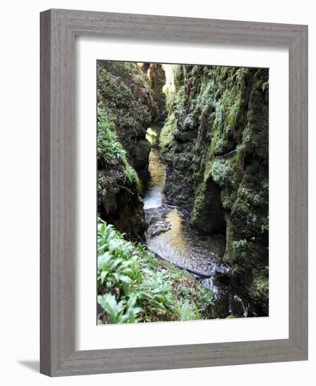 Famous 3 Mile Gorge in Devon Owned by the National Trust, Devon, England, United Kingdom, Europe-David Lomax-Framed Photographic Print