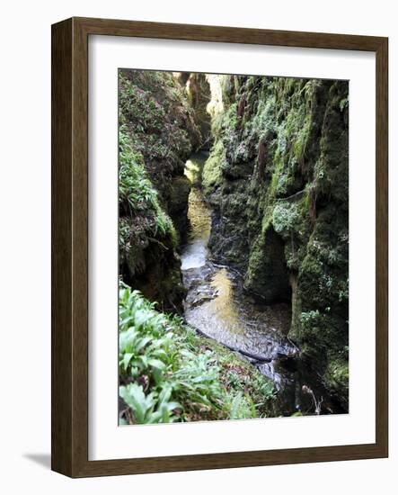 Famous 3 Mile Gorge in Devon Owned by the National Trust, Devon, England, United Kingdom, Europe-David Lomax-Framed Photographic Print