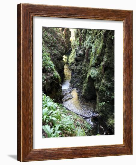 Famous 3 Mile Gorge in Devon Owned by the National Trust, Devon, England, United Kingdom, Europe-David Lomax-Framed Photographic Print