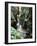 Famous 3 Mile Gorge in Devon Owned by the National Trust, Devon, England, United Kingdom, Europe-David Lomax-Framed Photographic Print