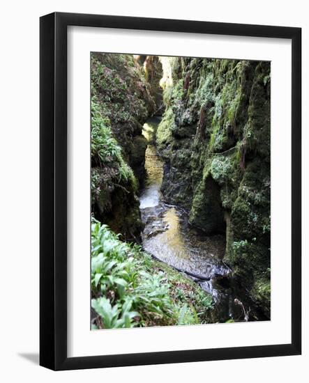 Famous 3 Mile Gorge in Devon Owned by the National Trust, Devon, England, United Kingdom, Europe-David Lomax-Framed Photographic Print