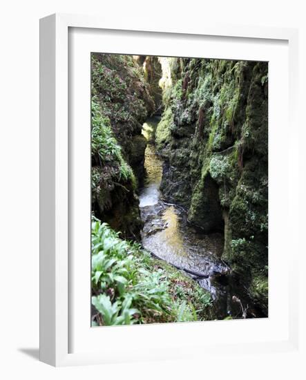 Famous 3 Mile Gorge in Devon Owned by the National Trust, Devon, England, United Kingdom, Europe-David Lomax-Framed Photographic Print