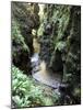 Famous 3 Mile Gorge in Devon Owned by the National Trust, Devon, England, United Kingdom, Europe-David Lomax-Mounted Photographic Print