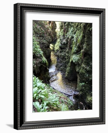 Famous 3 Mile Gorge in Devon Owned by the National Trust, Devon, England, United Kingdom, Europe-David Lomax-Framed Photographic Print