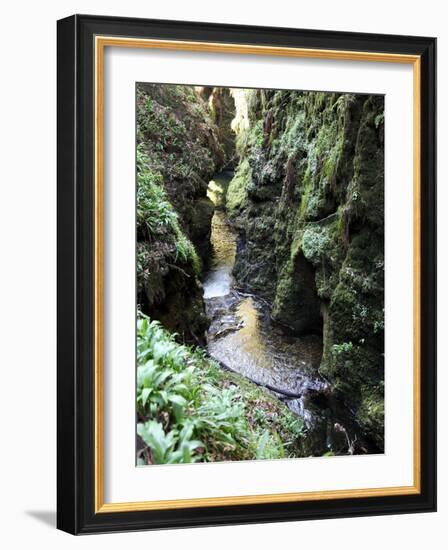 Famous 3 Mile Gorge in Devon Owned by the National Trust, Devon, England, United Kingdom, Europe-David Lomax-Framed Photographic Print