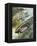 Famous Aircraft and their Pilots-Wilf Hardy-Framed Premier Image Canvas
