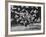 Famous Animal Trainer Vladimir Durov of the Moscow Circus Performing with His Birds-Loomis Dean-Framed Photographic Print