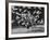 Famous Animal Trainer Vladimir Durov of the Moscow Circus Performing with His Birds-Loomis Dean-Framed Photographic Print