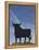 Famous Bull Symbols of the Bodegas Osborne, Puerto De Santa Maria, Spain-Walter Bibikow-Framed Premier Image Canvas